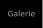 Galerie